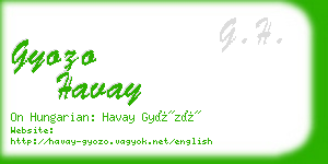 gyozo havay business card